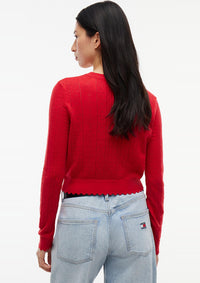 Thumbnail for DW0DW22931 XK9 | Slim Fit Pointelle-Cardigan mit Flag