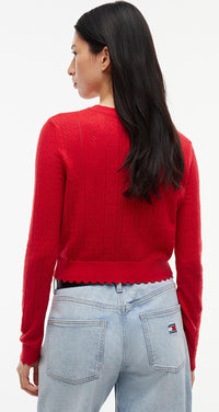 Thumbnail for DW0DW22931 XK9 | Slim Fit Pointelle-Cardigan mit Flag