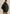 PJA2609155 9067-Jet Black | Snowpack Jacke