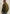 PJH2609483 8039-Beluga | Sherpa-Hybridjacke mit Reißverschluss
