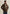 PLJ2608706 769-Brown | A-2 Snowprop Lederjacke