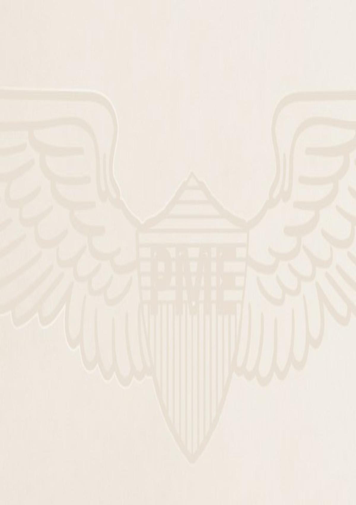 PPSS2604879 7001 | Poloshirt mit Allover-Print und Tailwing-Logo