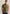 PPSS2605860 6389 | Poloshirt aus Jersey mit Allover-Jacquardmuster