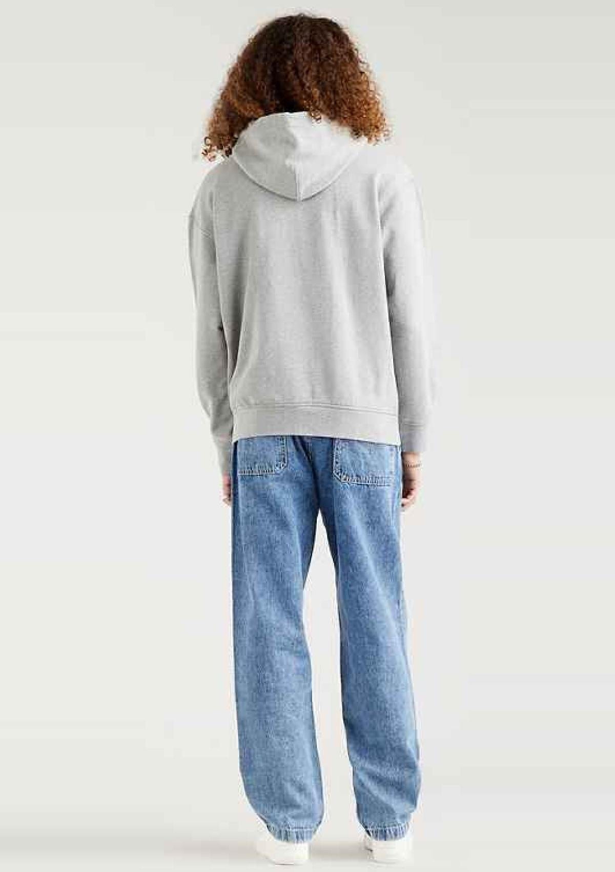 Levi Strauss Hemden 3847900800 80 | RELAXED GRAPHIC PO POSTER HOOD